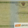 Мед сертификат специалиста СпецБланк
